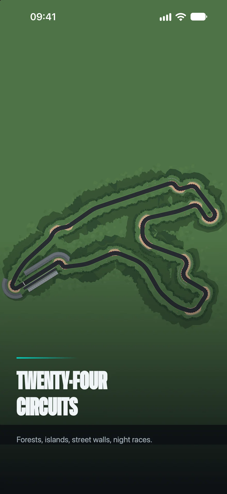 A whole forest circuit seen from above